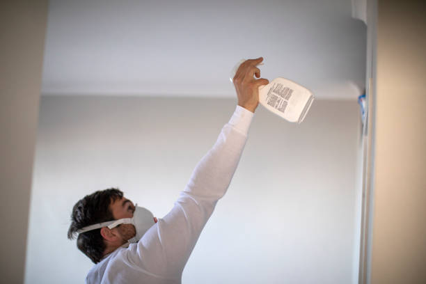 Best Mold Damage Repair  in Hazardville, CT