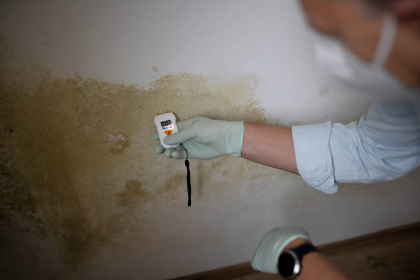 Best Mold Testing  in Hazardville, CT