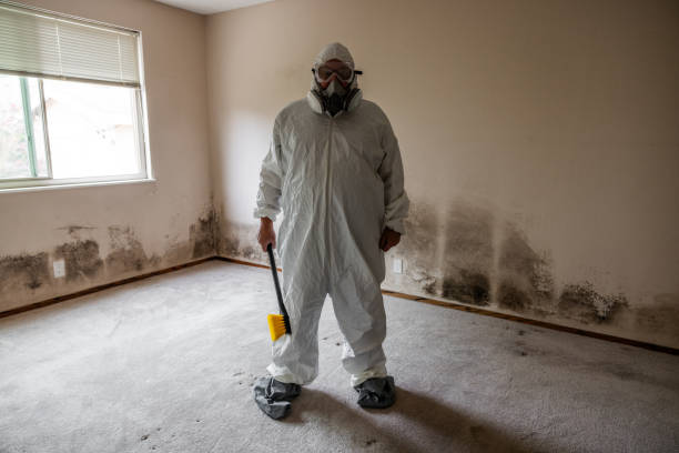 Best Emergency Mold Removal  in Hazardville, CT